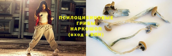 индика Алексин
