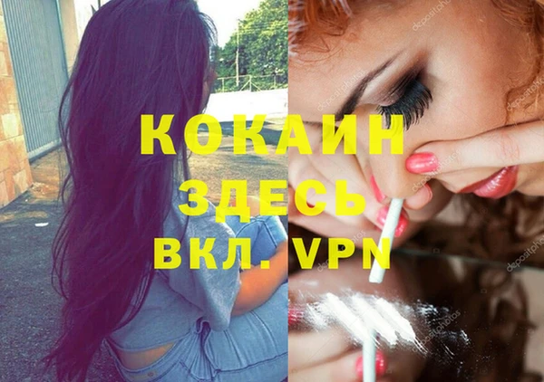 индика Алексин