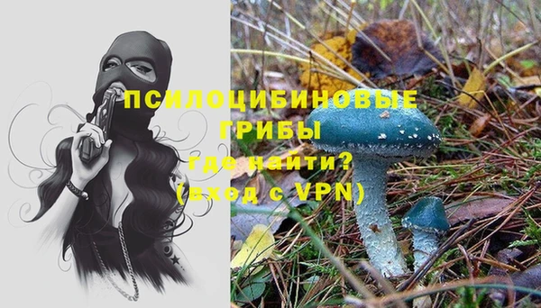 хмурый Алзамай