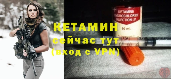 индика Алексин