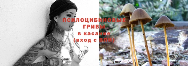 хмурый Алзамай