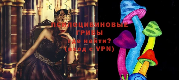 индика Алексин